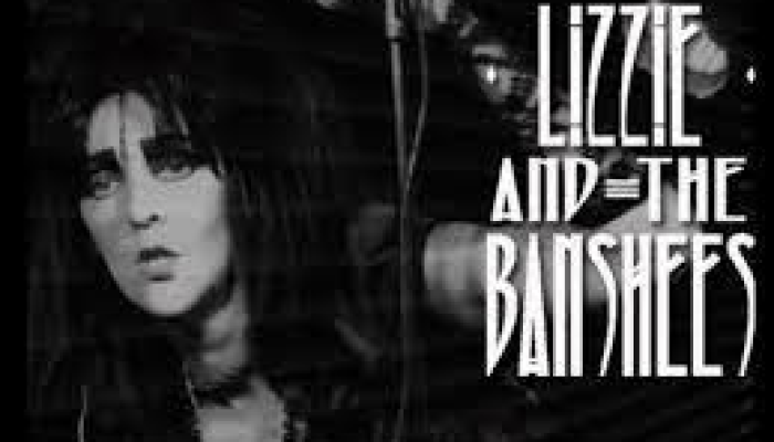 LIZZY & THE BANSHEES / SEDITIONARIES